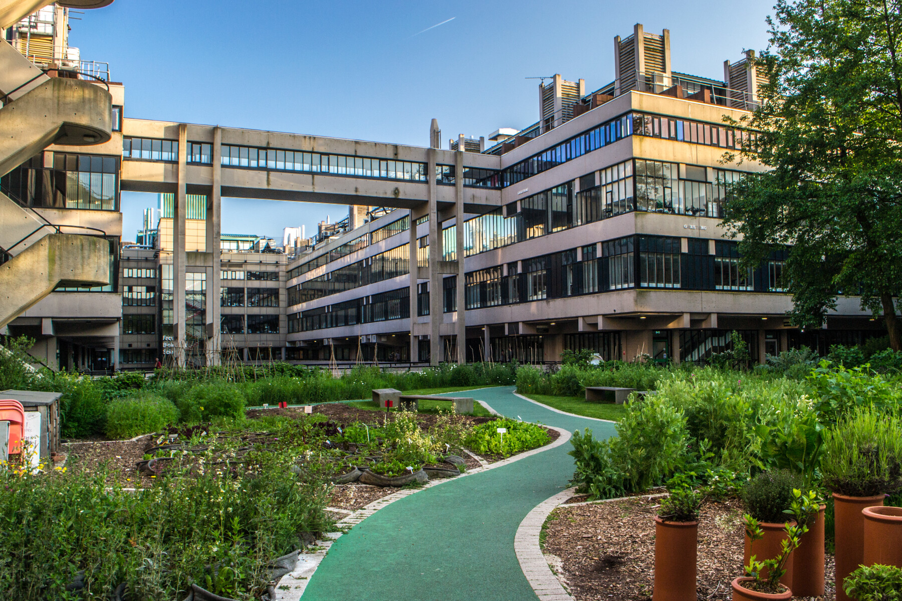 The Sustainable Garden at the University of Leeds