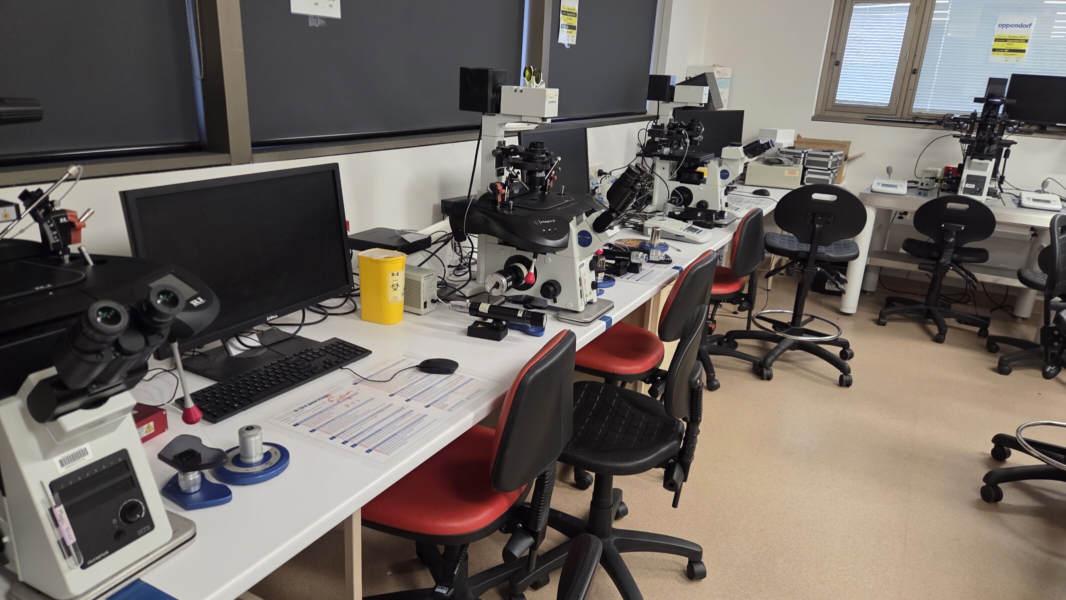 Micromanipulation lab