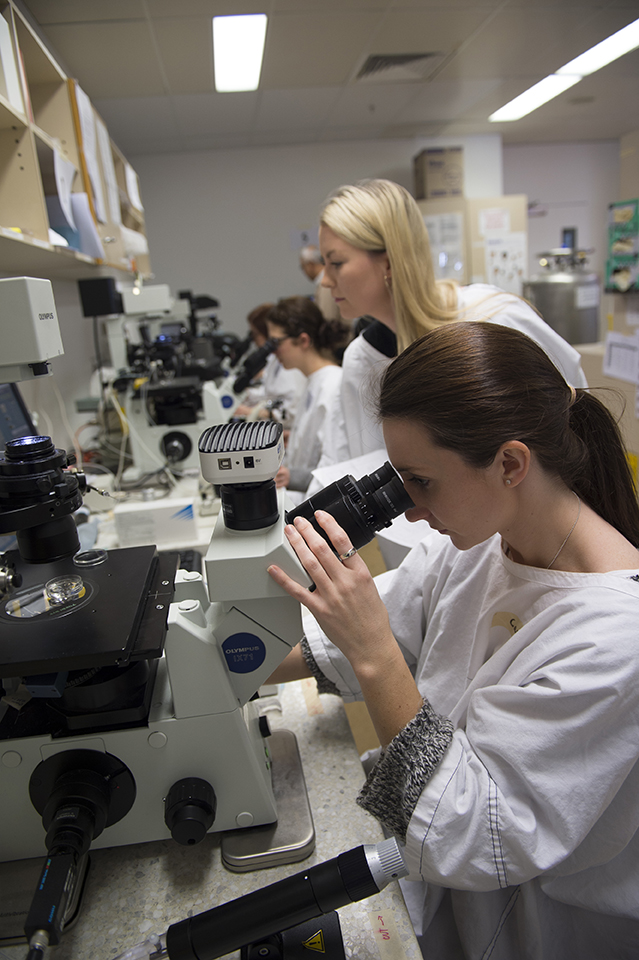 working at micromanipulator