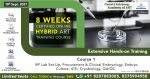 8 weeks certified online Hybrid ART training courses