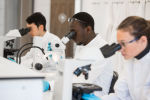 MSc in Clinical Embryology: Applications for entry in October 2023