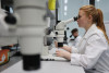 Clinical Embryology & In Vitro Fertilisation (distance learning) PG Cert / PG Dip / MSc