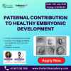 Paternal Contribution to Healthy Embryonic Development